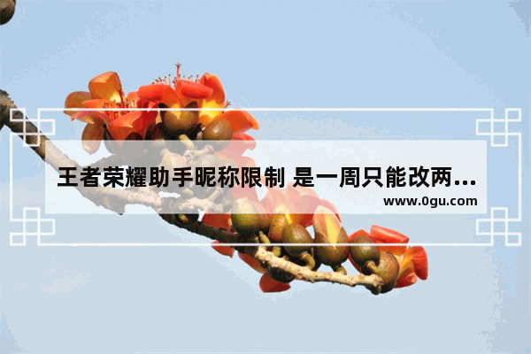 王者荣耀助手昵称限制 是一周只能改两次吗 而且每周都能改吗 王者荣耀助手名字