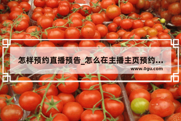 怎样预约直播预告_怎么在主播主页预约直播