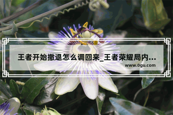 王者开始撤退怎么调回来_王者荣耀局内信号撤退怎么没有了