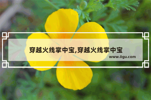穿越火线掌中宝,穿越火线掌中宝