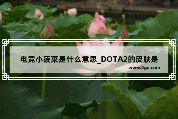 电竞小菠菜是什么意思_DOTA2的皮肤是怎么得到的