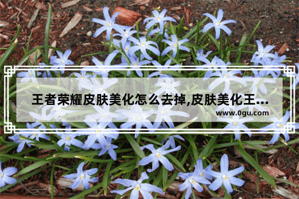 王者荣耀皮肤美化怎么去掉,皮肤美化王者荣耀