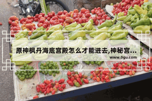 原神枫丹海底宫殿怎么才能进去,神秘宫殿攻略原神