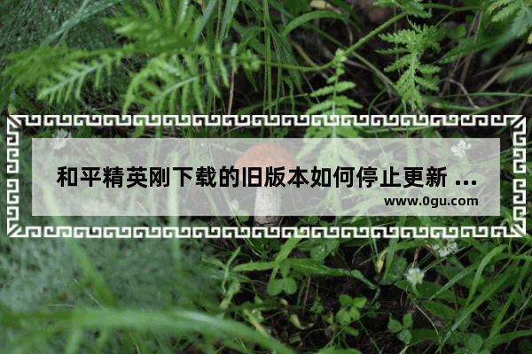 和平精英刚下载的旧版本如何停止更新 和平精英如何不更新版本
