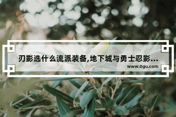 刃影选什么流派装备,地下城与勇士忍影毕业装备