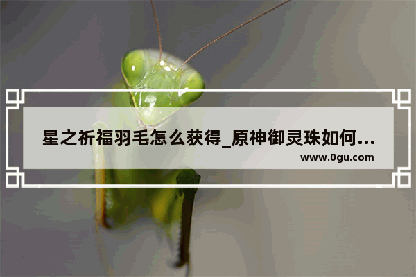 星之祈福羽毛怎么获得_原神御灵珠如何收集