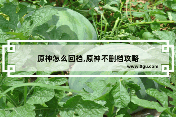原神怎么回档,原神不删档攻略