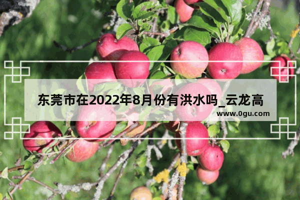 东莞市在2022年8月份有洪水吗_云龙高速什么时候开通
