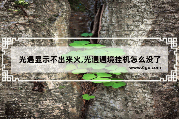 光遇显示不出来火,光遇遇境挂机怎么没了