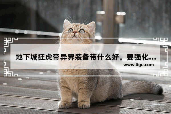 地下城狂虎帝异界装备带什么好。要强化多少 地下城与勇士b套布甲