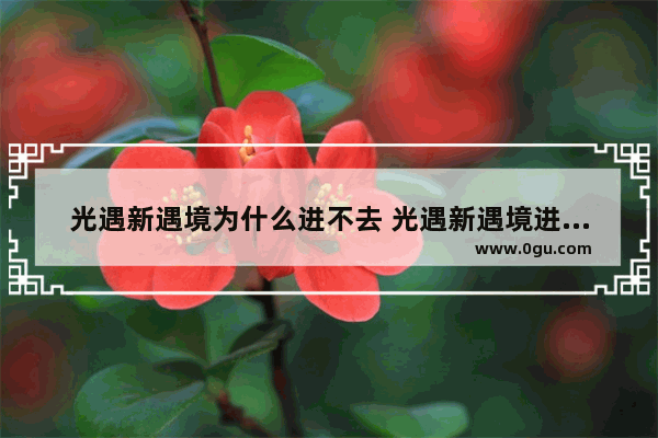 光遇新遇境为什么进不去 光遇新遇境进不去