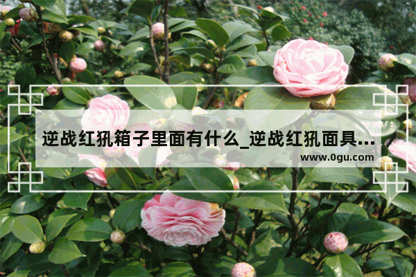 逆战红犼箱子里面有什么_逆战红犼面具多少钱 逆战红犼面具获得方法介绍