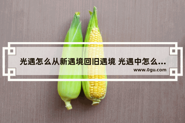 光遇怎么从新遇境回旧遇境 光遇中怎么回遇境