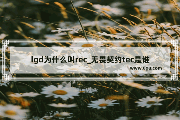 lgd为什么叫rec_无畏契约tec是谁的战队