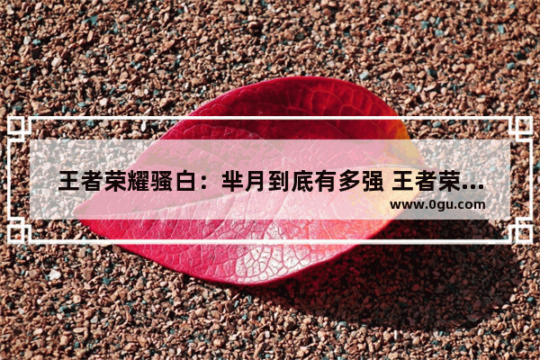 王者荣耀骚白：芈月到底有多强 王者荣耀骚白qq