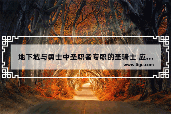 地下城与勇士中圣职者专职的圣骑士 应该用什么武器好_地下城与勇士男圣骑士灿烂徽章选择