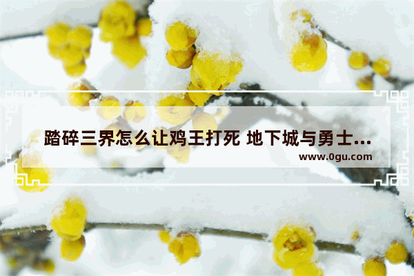 踏碎三界怎么让鸡王打死 地下城与勇士反杀剑魂