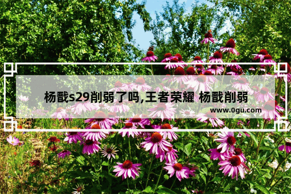 杨戬s29削弱了吗,王者荣耀 杨戬削弱