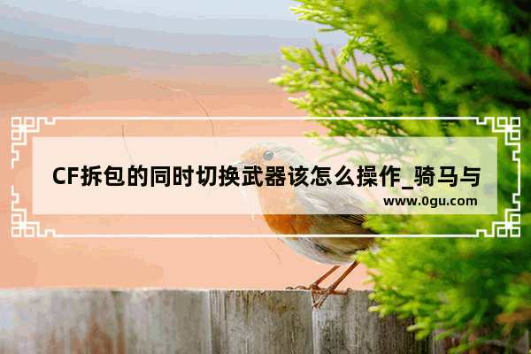CF拆包的同时切换武器该怎么操作_骑马与砍杀战团怎么换武器 还有那些部队自己可以指挥吗