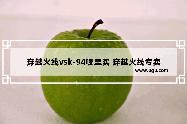 穿越火线vsk-94哪里买 穿越火线专卖店