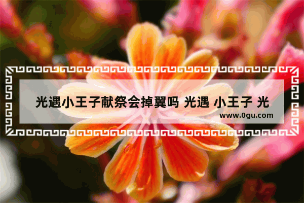 光遇小王子献祭会掉翼吗 光遇 小王子 光翼