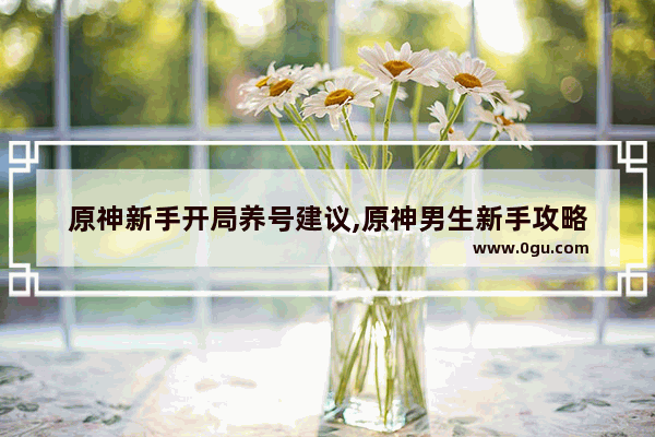 原神新手开局养号建议,原神男生新手攻略