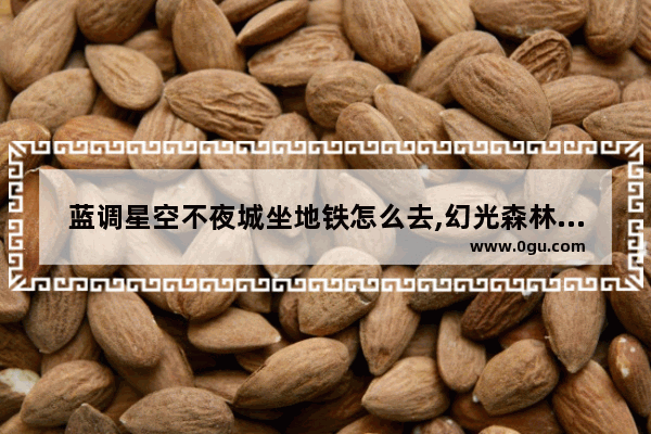 蓝调星空不夜城坐地铁怎么去,幻光森林光遇怎么进