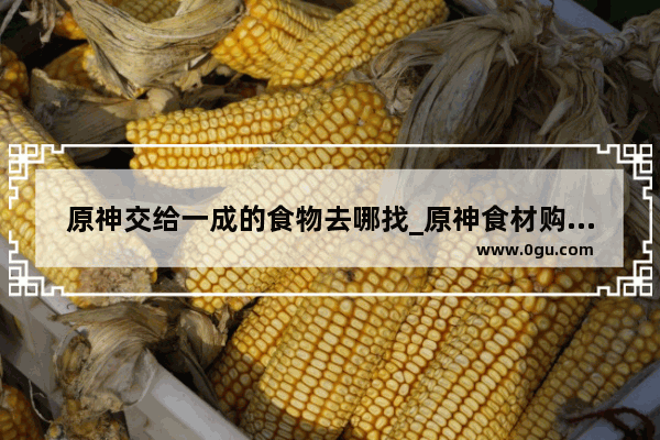 原神交给一成的食物去哪找_原神食材购买地点