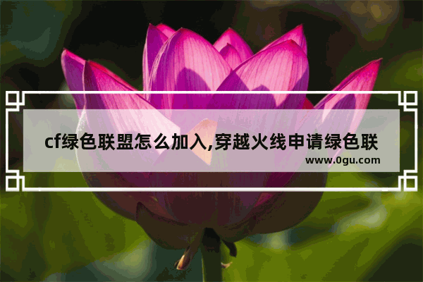 cf绿色联盟怎么加入,穿越火线申请绿色联盟