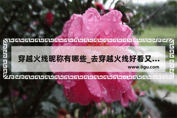 穿越火线昵称有哪些_去穿越火线好看又霸气的名字