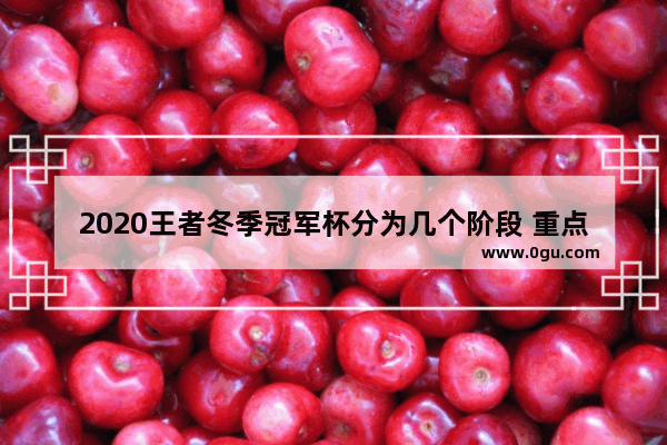 2020王者冬季冠军杯分为几个阶段 重点是什么_kpl冬季冠军杯比赛规则