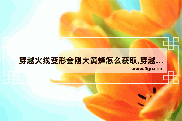 穿越火线变形金刚大黄蜂怎么获取,穿越火线怎么得金刚