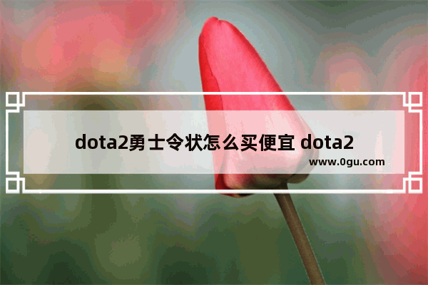 dota2勇士令状怎么买便宜 dota2特惠买两次