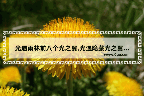 光遇雨林前八个光之翼,光遇隐藏光之翼大全
