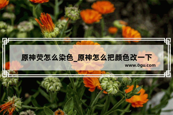原神荧怎么染色_原神怎么把颜色改一下