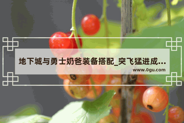 地下城与勇士奶爸装备搭配_突飞猛进成长季奶爸11件装备怎么选
