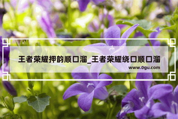 王者荣耀押韵顺口溜_王者荣耀绕口顺口溜