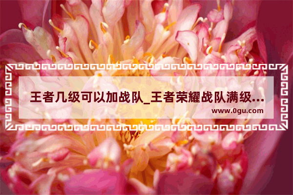 王者几级可以加战队_王者荣耀战队满级等级十级?初始人数65