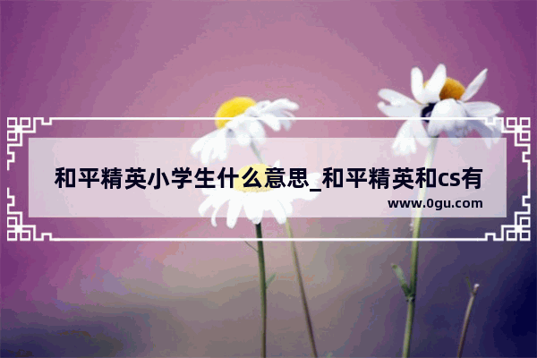 和平精英小学生什么意思_和平精英和cs有什么区别
