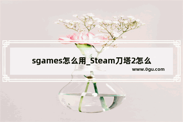 sgames怎么用_Steam刀塔2怎么上国服