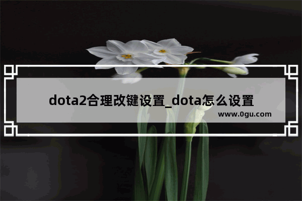 dota2合理改键设置_dota怎么设置按键方便