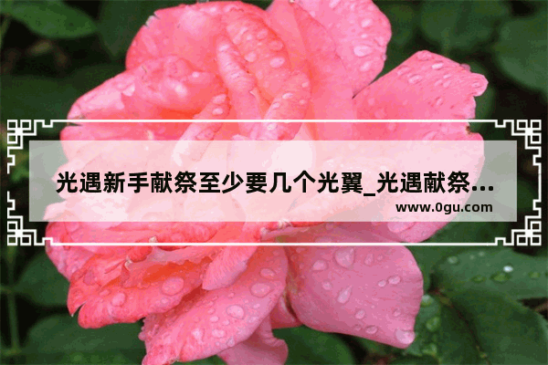 光遇新手献祭至少要几个光翼_光遇献祭后的光翼数量由什么决定