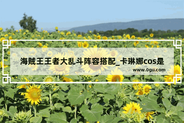 海贼王王者大乱斗阵容搭配_卡琳娜cos是干嘛的