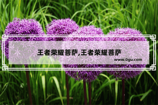 王者荣耀菩萨,王者荣耀菩萨