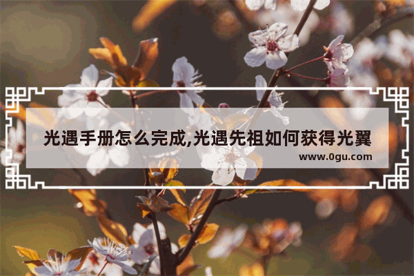 光遇手册怎么完成,光遇先祖如何获得光翼