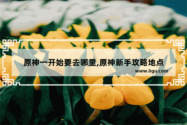 原神一开始要去哪里,原神新手攻略地点