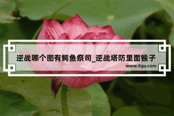 逆战哪个图有鳄鱼祭司_逆战塔防里面猴子 高富帅 小狗 鳄鱼指的什么啊 打了好久塔防有点听不懂 还有什么外号啊