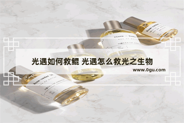 光遇如何救鲲 光遇怎么救光之生物