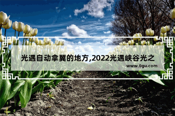 光遇自动拿翼的地方,2022光遇峡谷光之翼