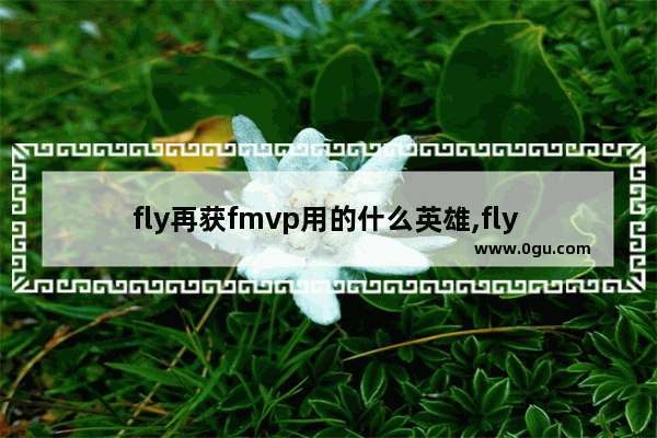 fly再获fmvp用的什么英雄,fly dota2